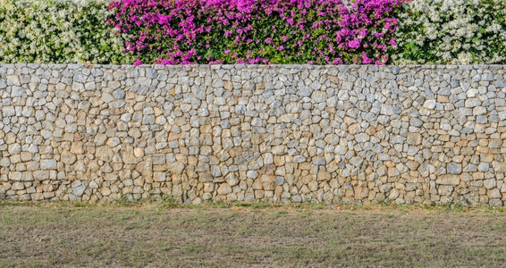 泰国美丽的石墙上装饰的布干维尔花朵图片