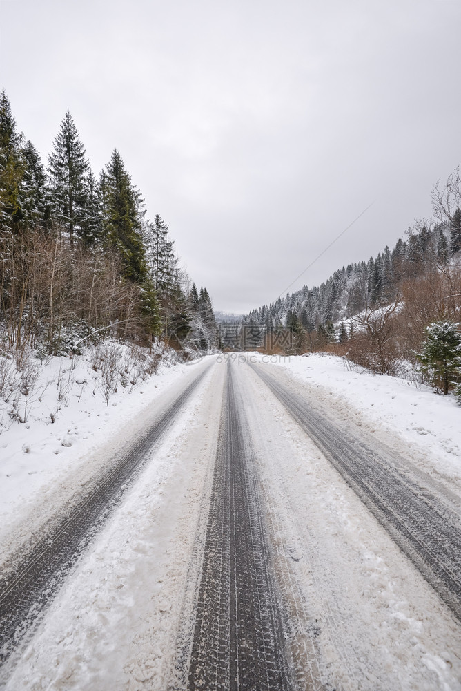 冬季道路和有雪覆盖的fir树冬季地貌及天空户外图片