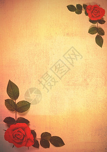 花店绿色有玫瑰的纸两边有树叶装饰品背景图片