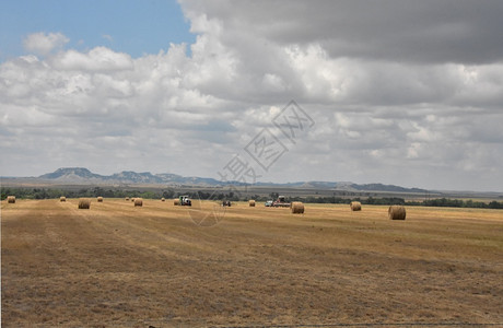 农村业田包括一捆滚干草乡村的轧制图片