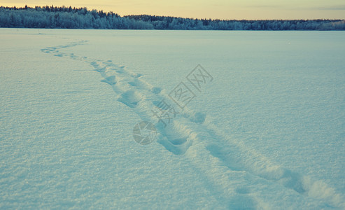 俄罗斯日落圣诞节冬季美丽的圣诞风景湖雪的痕迹冬天美丽的圣诞风景图片