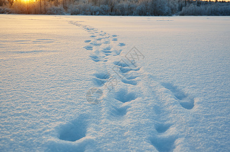 天空雪花自然冬季美丽的圣诞风景湖雪的痕迹冬天美丽的圣诞风景图片