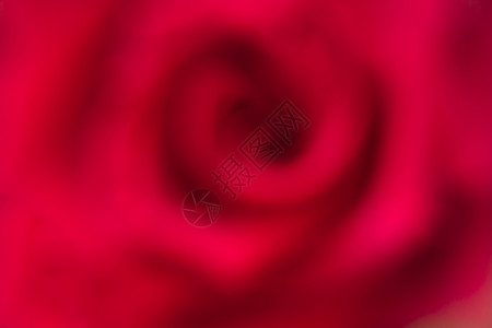 深红玫瑰背景露水紧接的滴子植物葡萄酒群图片