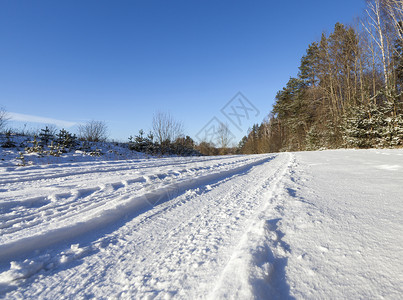 冬来了下雪的在地面上形成了汽车的痕迹和弯曲一张贴近照片上面有树木和蓝色天空一条冬季沥青路另一条是冬柏油路农村天背景