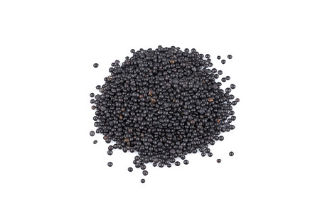 种子Beluga白色背景的黑扁豆营养食物图片