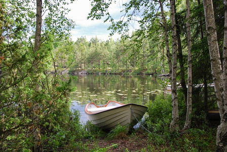 森林湖边的小木船背景图片