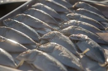 海鲜印度马克尔鱼关闭生食品市场饮营养高清图片素材