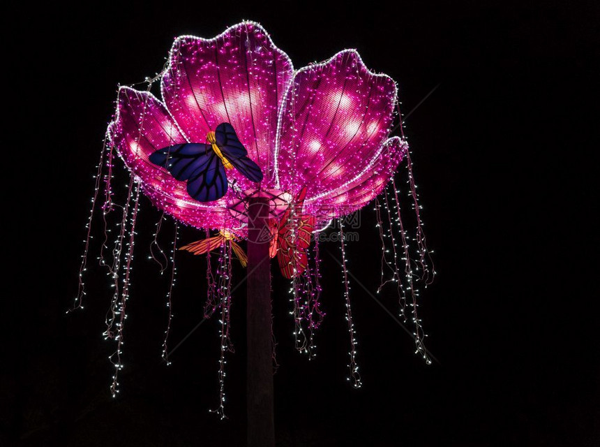 艺术粉色的这个灯光节旨在向世界展示文化新年灯光节以鲜花和蝴蝶开始之际风光节将展现出文化校对PortnoyuniBARBAR灯笼图片