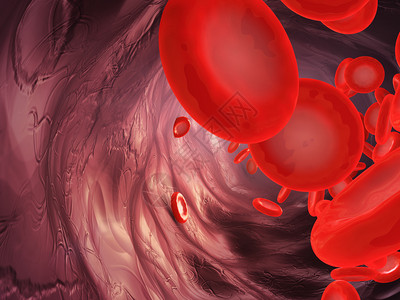 细胞近距离检查动脉3D转化过程中血粒子的移动情况插图身体图片