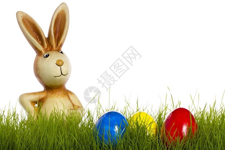 青草后面的东兔和西鸡蛋后面的东兔子白色背景的东鸡蛋后面兔子紫色绿传统背景图片