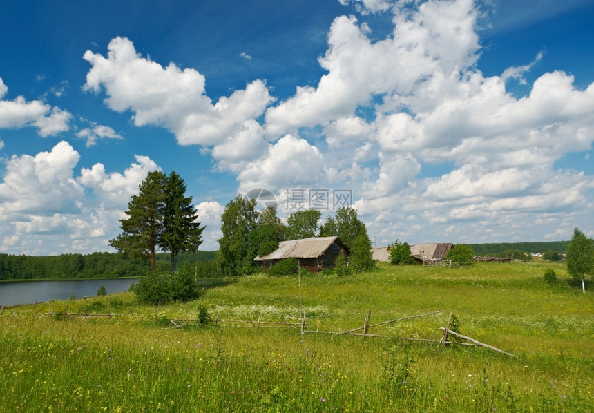 自然景观蓝色的俄罗斯夏季草地Arkhangelsk地区俄罗斯图片