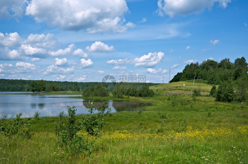 农业俄罗斯夏季草地Arkhangelsk地区俄罗斯夏天自然图片
