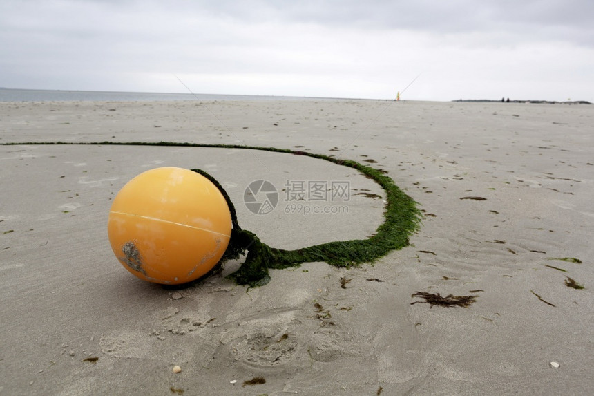 低季沙滩上的橙色圆形浮标春季海滨大层覆盖绳子的绿藻类海洋季节地平线图片