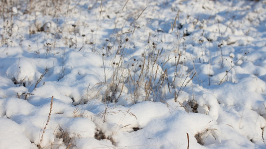 太阳覆盖冬季风景天晨光下雪季节图片