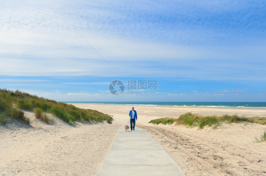 男人在荷兰岛Terschelling海滩上走狗荷兰语地平线瓦登图片