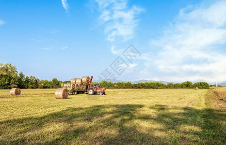 季节云收成拖拉机在野外收集干草篮子和装上农车图片