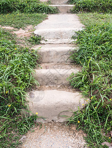 公园踪迹植物自然足沿线的混凝土楼梯上步图片