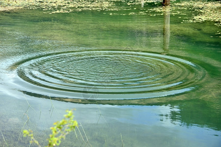 水滴飞溅湖湿的圆形图片