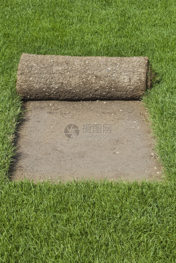 滚动的皮层绿草地毯橄榄球卷户外土壤安装图片