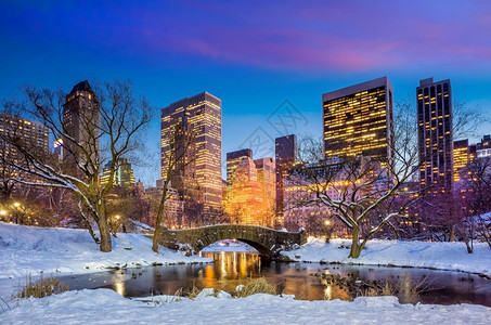 蓝色的城市景观寒冬悬崖桥纽约市中央公园植物图片