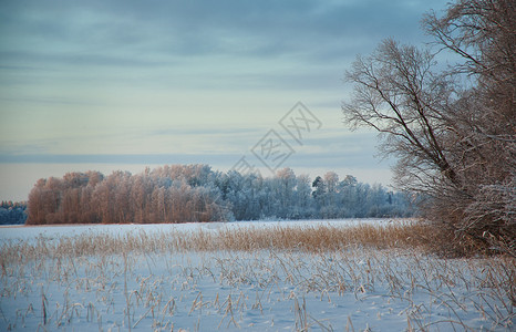 寒冷的冻日落冬季美丽的圣诞风景冰冻和雪湖的海岸图片
