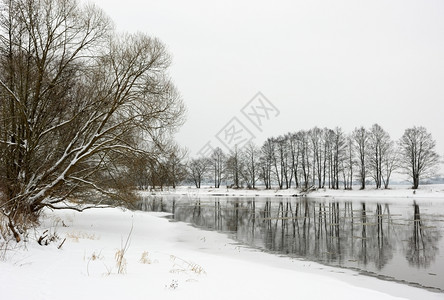 清除温度季节冬积雪河岸冰水和树木图片
