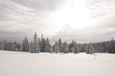 雪后美景背景图片