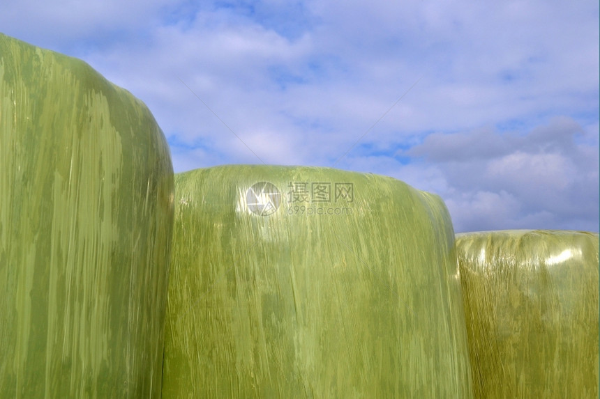 包裹荷兰Zelhem农场的塑料干草篮子自然泽勒姆图片