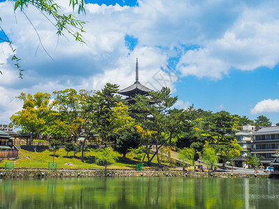 老的风景佛教徒与日本奈拉Kofukukuji寺五所古塔的萨拉瓦庞德图片