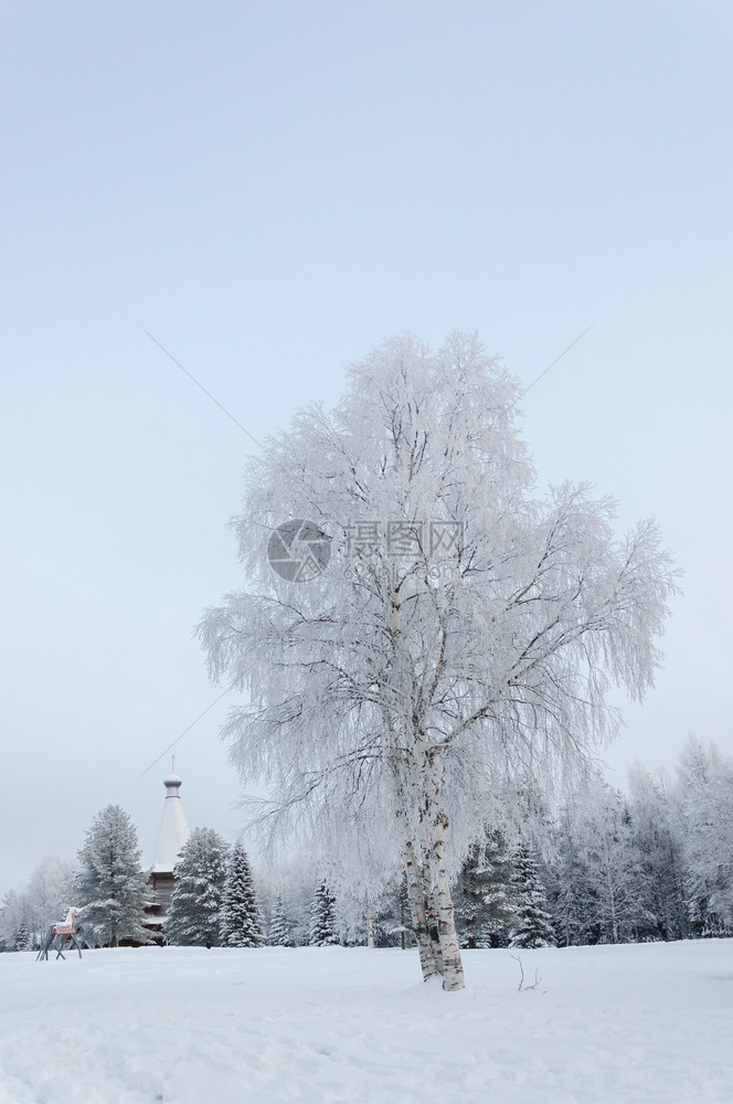 冬天如画户外俄罗斯北部农村的冬季风景白雪小树有花图片