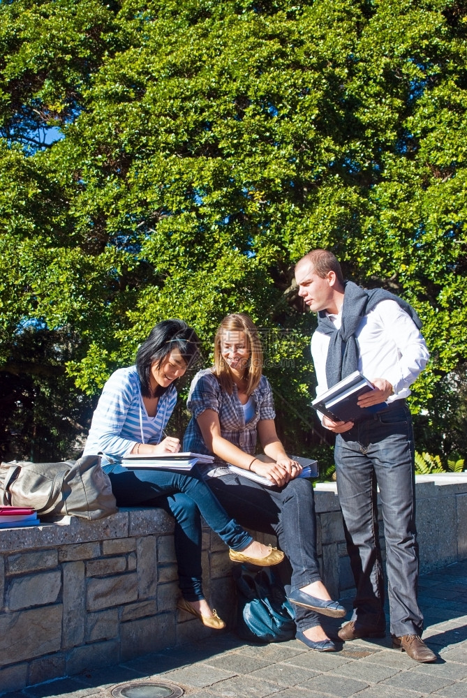 墙坐着美丽的三个学生比较大公园在阳光明媚的日子里笔记图片