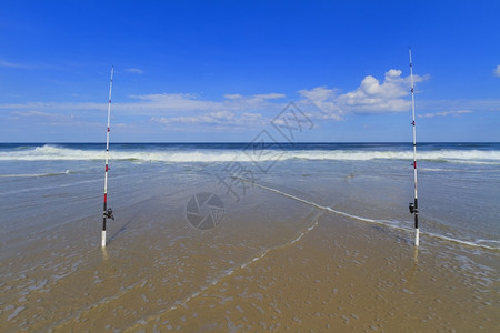 桑迪海滩景象沙水太平洋美丽图片