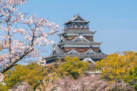 樱花与广岛城背景图片
