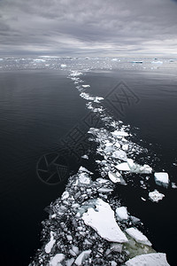大陆巨的漂浮冰板在南极洲深水中形成白迹踪图片