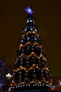 夜晚公园发光的圣诞树图片