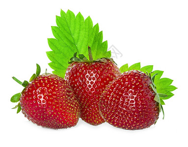 白色的草莓新鲜目图片