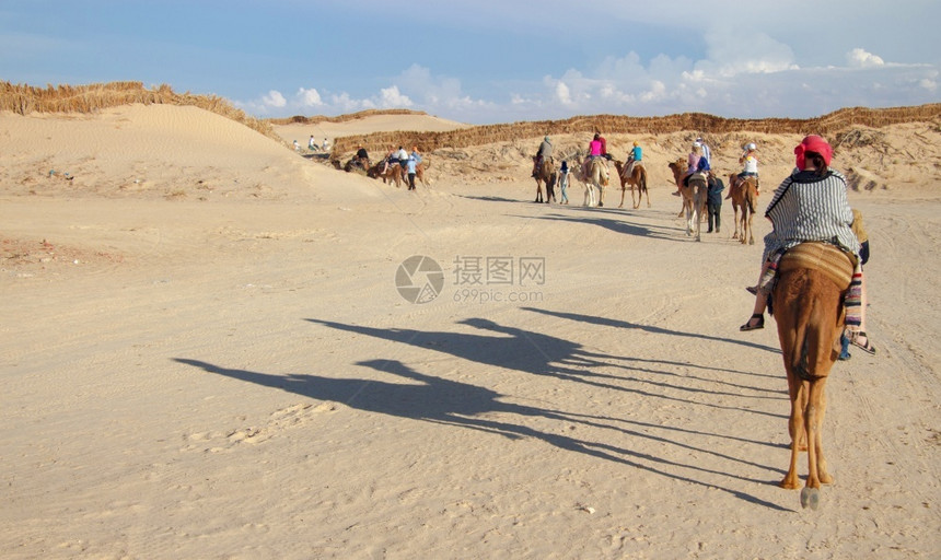 沙漠中骑骆驼旅行的人图片