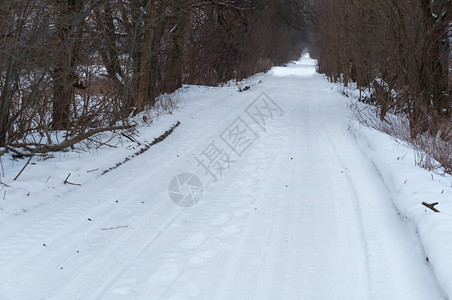 旅行十二月林间雪道冬季间雪天图片