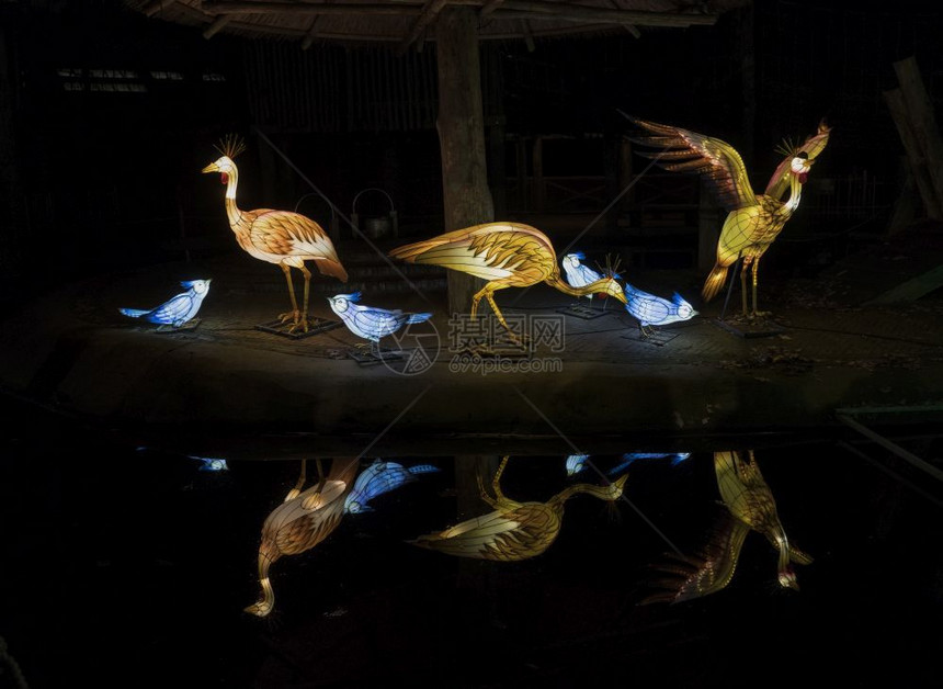 传统这个灯光节旨在向世界展示文化新年灯光节开始之际鸟儿和水的反射与文化新一年灯光节初开风光节即将到来时宗教雷嫩图片