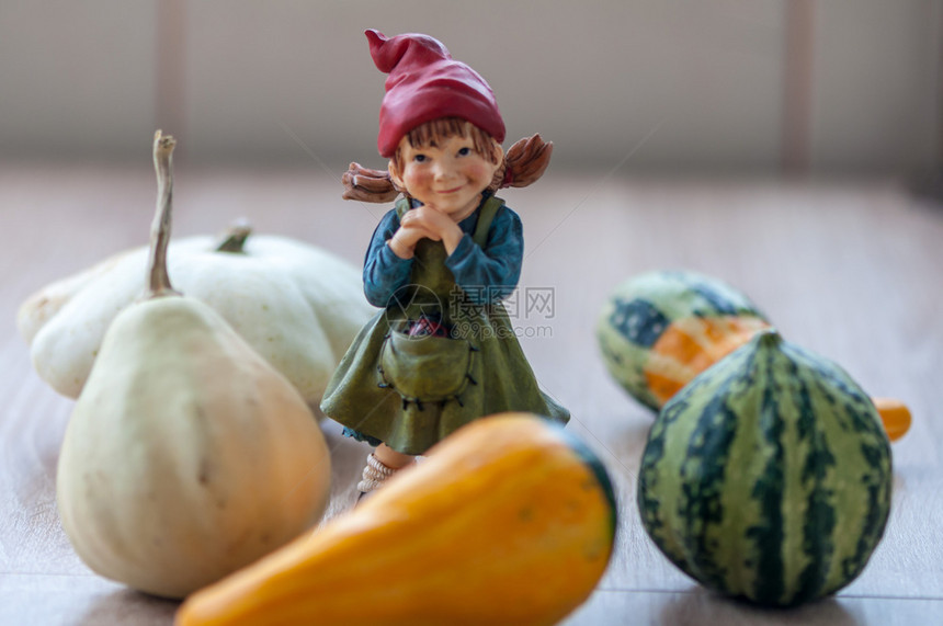 快乐的女士仙关闭被壁球环绕的木板桌上花园小矮人选择焦点图片