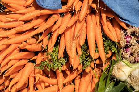 颜色维他命胡萝卜素市场摊位上一帮新鲜胡萝卜图片