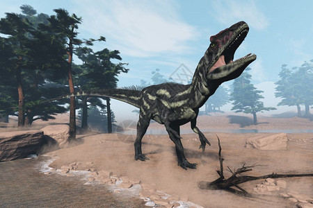 菲律宾博龙岸野生动物插图白天在松树旁边的岸行走和咆哮3D变成阿洛龙恐咆哮3D变成了D侏罗纪设计图片