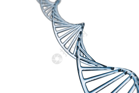 具有X染色体的抽象背景DNA分子科学的螺旋化图片