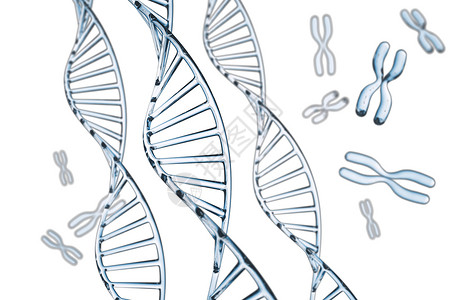 健康具有X染色体的抽象背景DNA分子具有技术化学图片