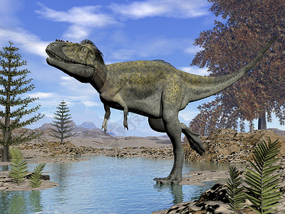 雷克斯艾丽奥拉马斯恐龙每天走进沙漠的水里3D变成阿丽奥拉穆斯恐龙3D肉食动物步行设计图片
