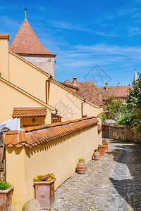 Sighisoara老城罗马尼亚街Sighisoara欧洲的房屋街道图片