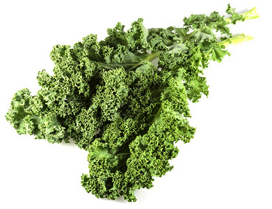 绿甘蓝或者长大的羽衣甘蓝Kale叶的近视KaleKale或叶子卷心菜是巴西树Brassicaoletracea为可食用叶种而植Kale背景