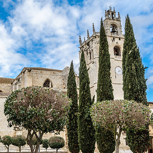 旅游西班牙帕伦亚卡斯蒂利和里昂哥特大教堂老的莱昂图片