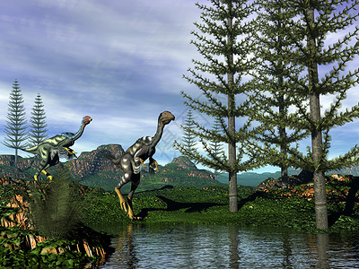 白垩纪插图甲癣Caudipteryx看着双龙恐夜间靠近树的三维转化背景图片