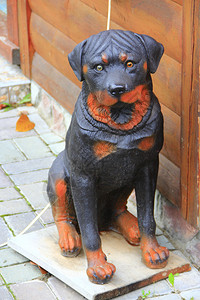 家附近的罗威纳犬雕像服务塑美丽的黑色和红罗威纳犬雕塑家畜像狗陶瓷装饰图片